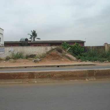 DSC07548